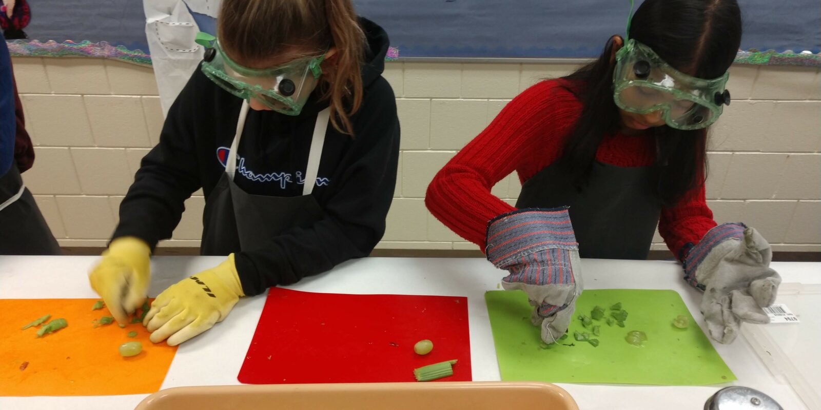 Two students wearing safety goggles and gloves use obsidian candy "stone" tools they made to slice grapes and celery on a cutting board. © SASSA